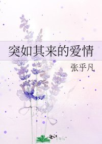 突如其来的爱情