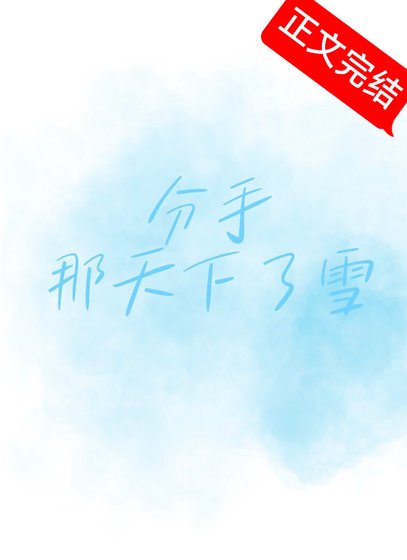 分手那天下了雪
